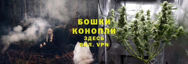 не бодяженный Няндома