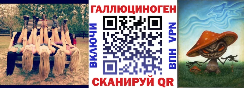 Псилоцибиновые грибы Cubensis  где купить наркоту  Калининец 