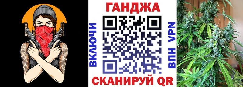 Конопля планчик  Калининец 